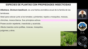 Soluciones Naturales: Preparación de Extractos Vegetales en el Control de Insectos Plaga - Dr. Jesus Alonso Esparza R. / UANL