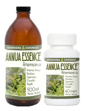 ANNUA ESSENCE