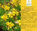 Arnica