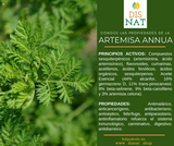 ARTEMISA ANNUA