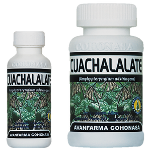 CUACHALALATE