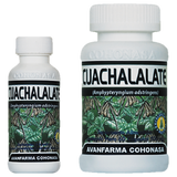 CUACHALALATE