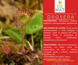 DROSERA