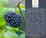 ELEUTEROCOCO