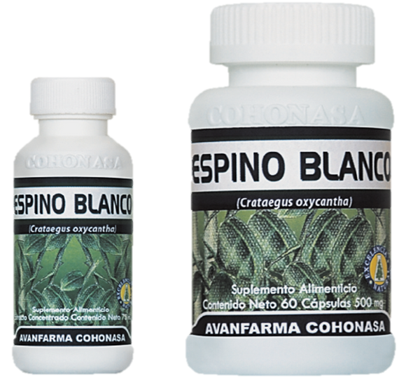 ESPINO BLANCO