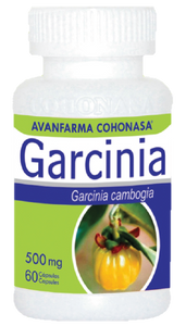 GARCINIA CAMBOGIA