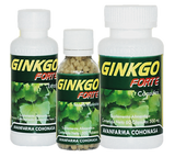 GINKGO FORTE