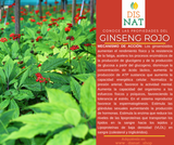 GINSENG ROJO