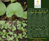 GOTU KOLA