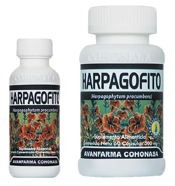 HARPAGOFITO