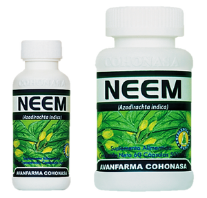 NEEM