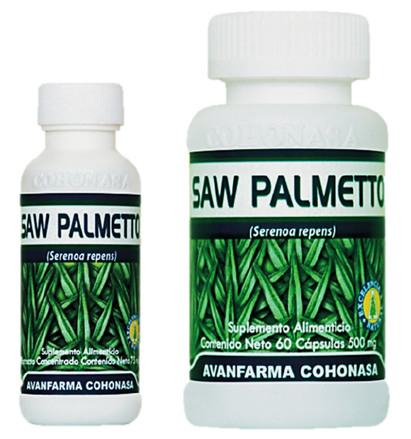 SAW PALMETTO