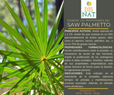 SAW PALMETTO