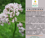 VALERIANA