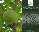 ZAPOTE BLANCO