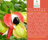 GUARANÁ